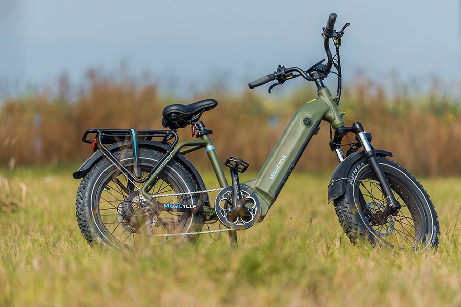Long Range Electric Bike Army Green