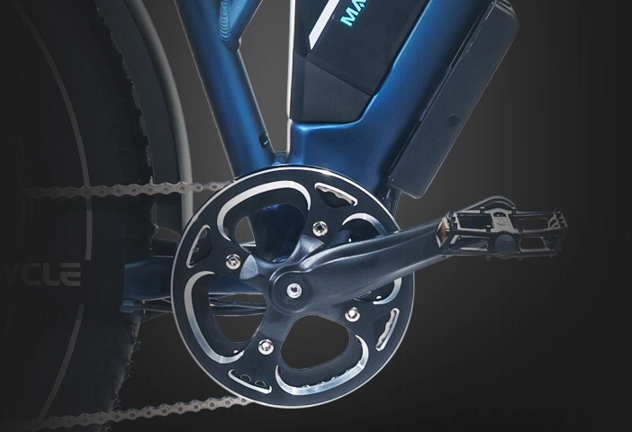 Electric bicycle accessories details