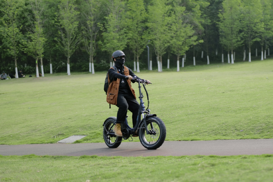 folding ebike