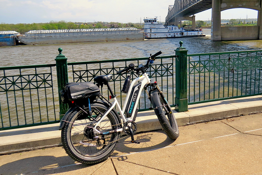 Magicycle Fat Tire Cruiser Bike