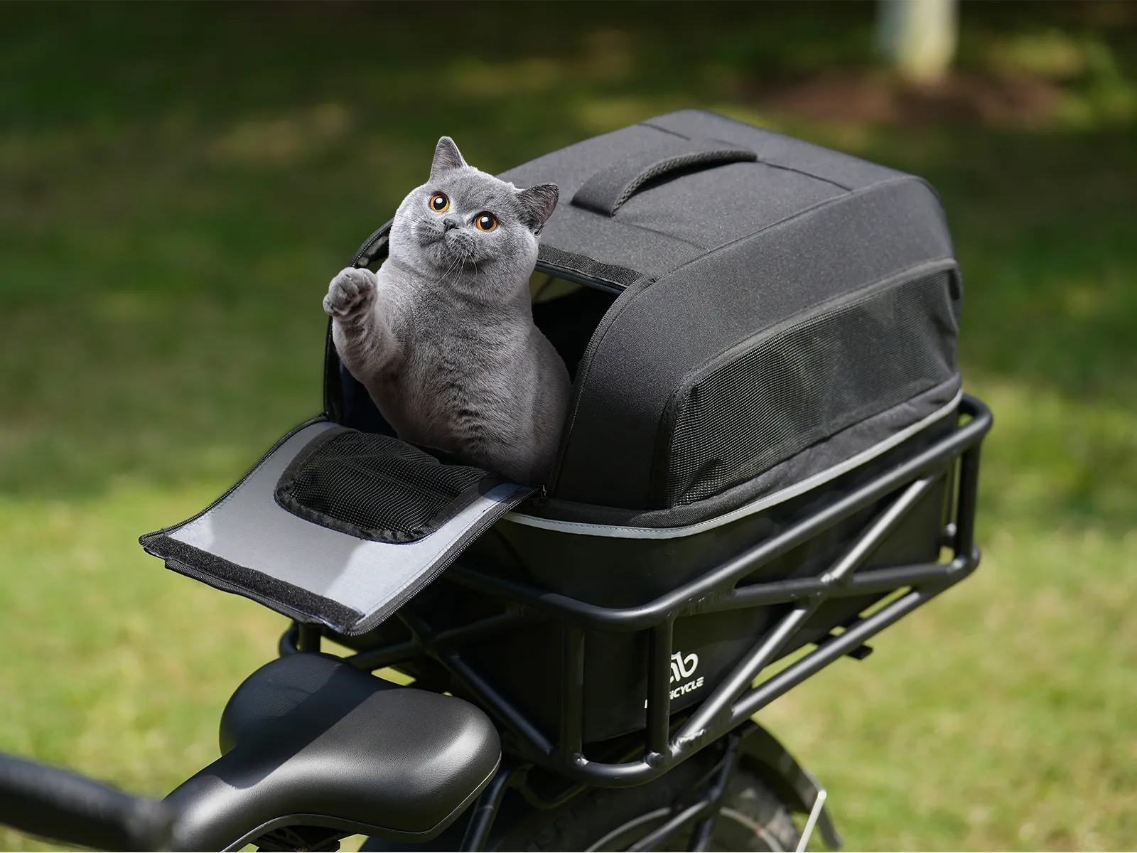 Magicycle Rear Pet Carrier Travel Bag