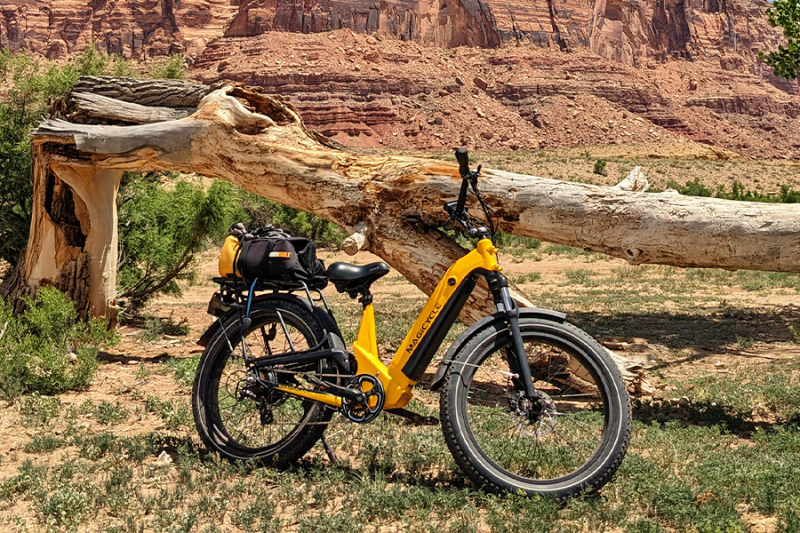 full suspension ebike for off-road riding